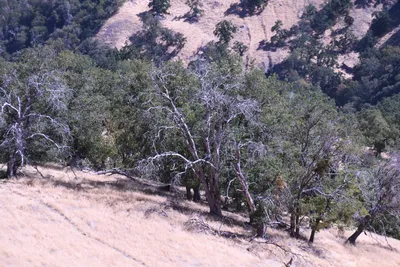 DSC_2214 (Large).JPG